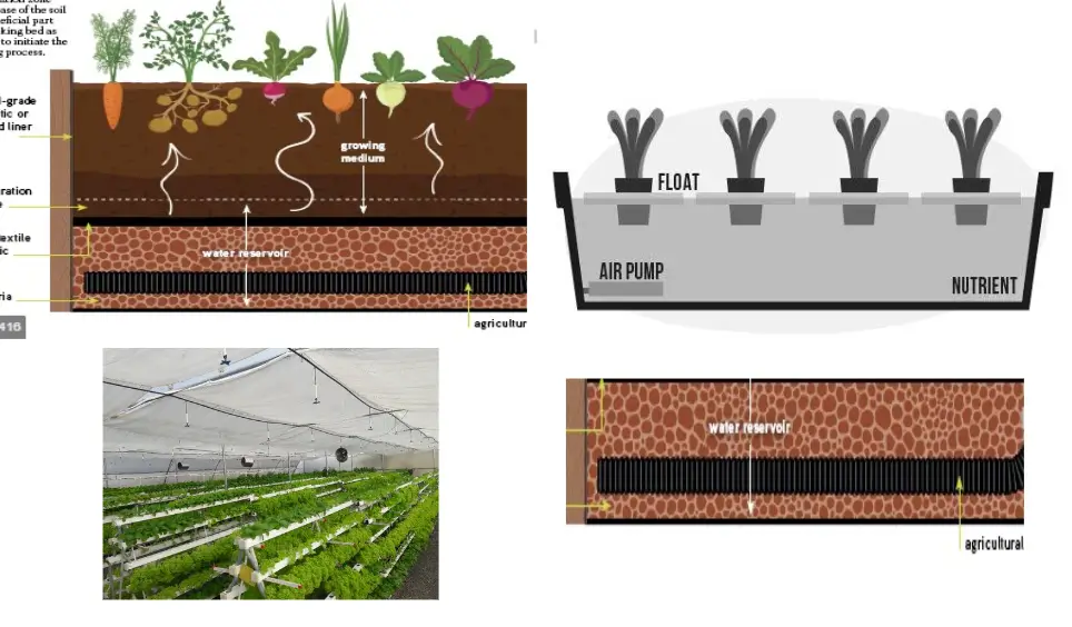 Types of Growbeds in Aquaponics Image